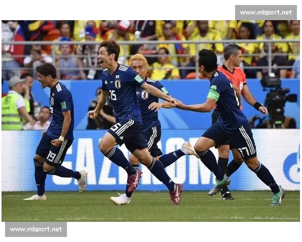 激情与智慧的融合，2026世界杯战术盛宴